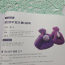 니팅카페코코