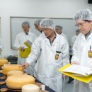 최고다목장 이미지