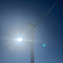 삼포염소농장 | 대관령 당일치기 눈꽃 여행 [삼양라운드힐, 실버벨교회, 가마솥치킨, 루앤루베이커리, 납작식당]