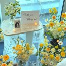 옐로카펫 | 부산 해운대 시그니엘 호텔프로포즈 생화장식 후기