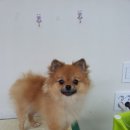 유니동물병원 이미지