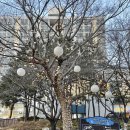 남산정사회복지관 이미지