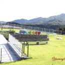 한반도섬 이미지