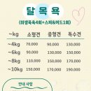 라이크어독 이미지