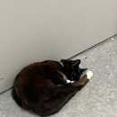 벨포르(주) 이미지