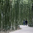 수군농장 이미지