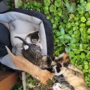 청지기농장 이미지