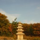 죽장사