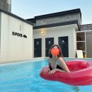 라별풀빌라 남해펜션 | [펜션추천] 경남 남해 감성숙소 디풀빌라애견펜션 후기