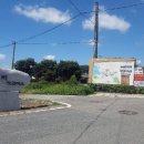 장곡1리 이미지