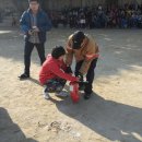 효제초등학교 이미지