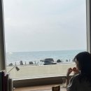 해선플라워