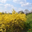 금호강2 이미지