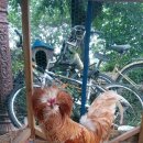 석원농장 이미지