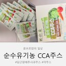 순수유기농CCA주스 후기 아이도 맛있게 먹은 당근양배추사과주스