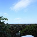 눈먼고래 이미지