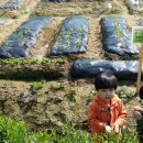 주희농장 이미지