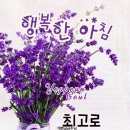 종갓집 이미지