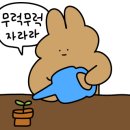 릿츠케이크