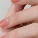 네일라운드