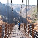 양떼푸드 이미지