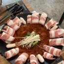 생생쭈꾸미 - 12037 | 생생쭈꾸미