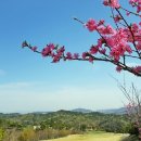 MOON골프하우스 이미지