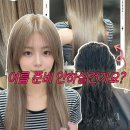 살롱애뜰차이 네이버블로그
