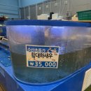 다드림식자재마트 | 집에서 대하구이 해먹기 (새우머리버터구이) 오산 다드림마트 -귀멸의 칼날 무한성편후기