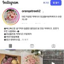오렌지나무앙금플라워떡케이크