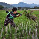 이백면 계산마을 이미지