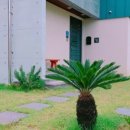 별장행복펜션민박 이미지