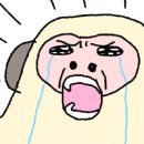 은정스테이