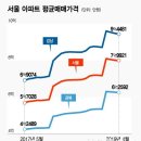 평화로(2) 이미지