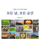 샘 미디어 네이버블로그