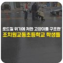 조치원교동초등학교 이미지