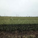 스타성인게임장 | 가고시마 미야노죠 온천 테츠야료칸(宮之城温泉 手塚ryokan)