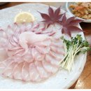 목포간이음식