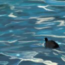 은행프라자 이미지