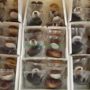 가양2동 행정복지센터 이미지