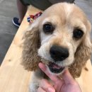 마린숲 동물병원 이미지