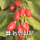 두레누리협동조합