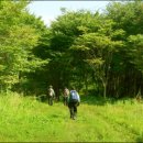 석지농장 이미지