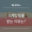 일산예치과 네이버블로그
