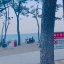주전월남정화장실 네이버블로그