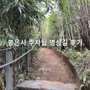 명상길 | 봉은사 주차팁 명상길 후기