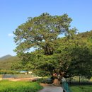 평죽보건진료소 이미지