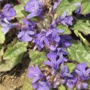 금창초등학교 이미지