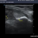 돌봄동물메디컬클리닉 이미지