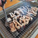 수원-0592 이미지